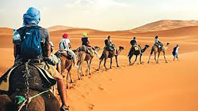  بمدينة توزر.. تنظيم الدورة الثانية للصالون الدولي للسياحة الصحراوية والواحية في ديسمبر المقبل