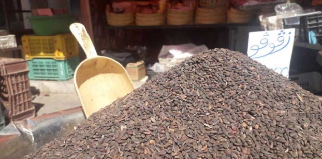 سعر الكلغ بلغ 65 دينارًا..   عصيدة «الزقوقو» تتحول إلى طبق مكلف يتجاوز إمكانيات فئات واسعة