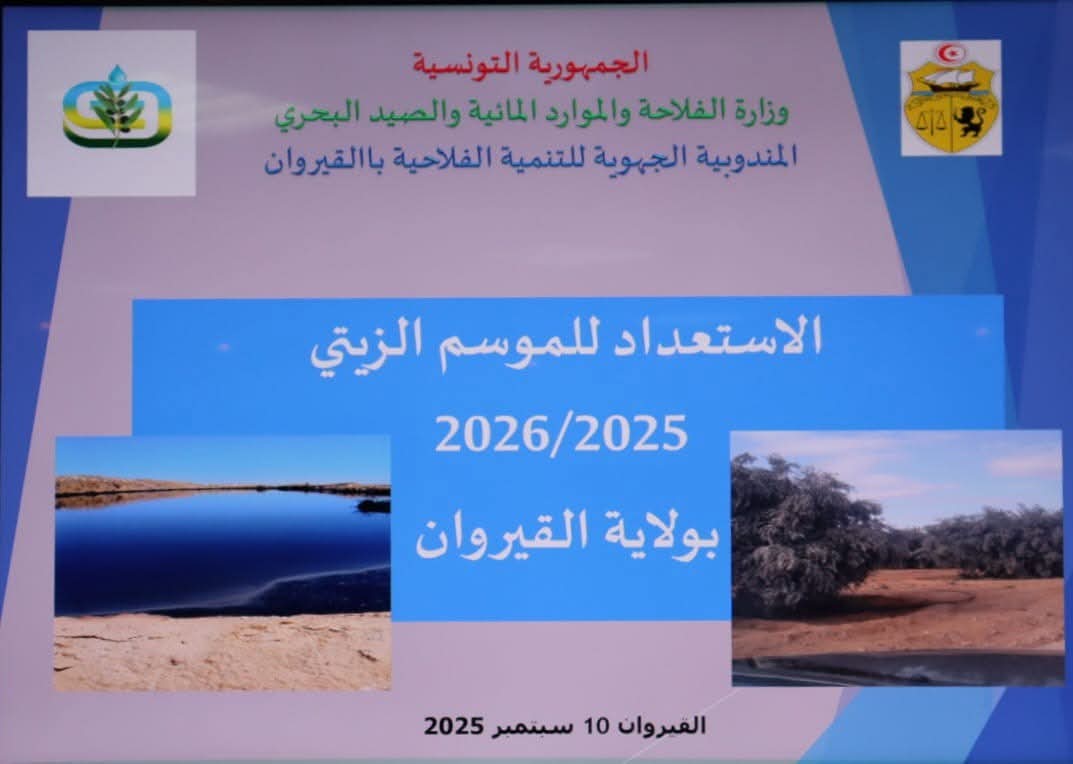 القيروان.. خطة عاجلة للتصرف في مادة المرجين استعدادا للموسم الزيتي 