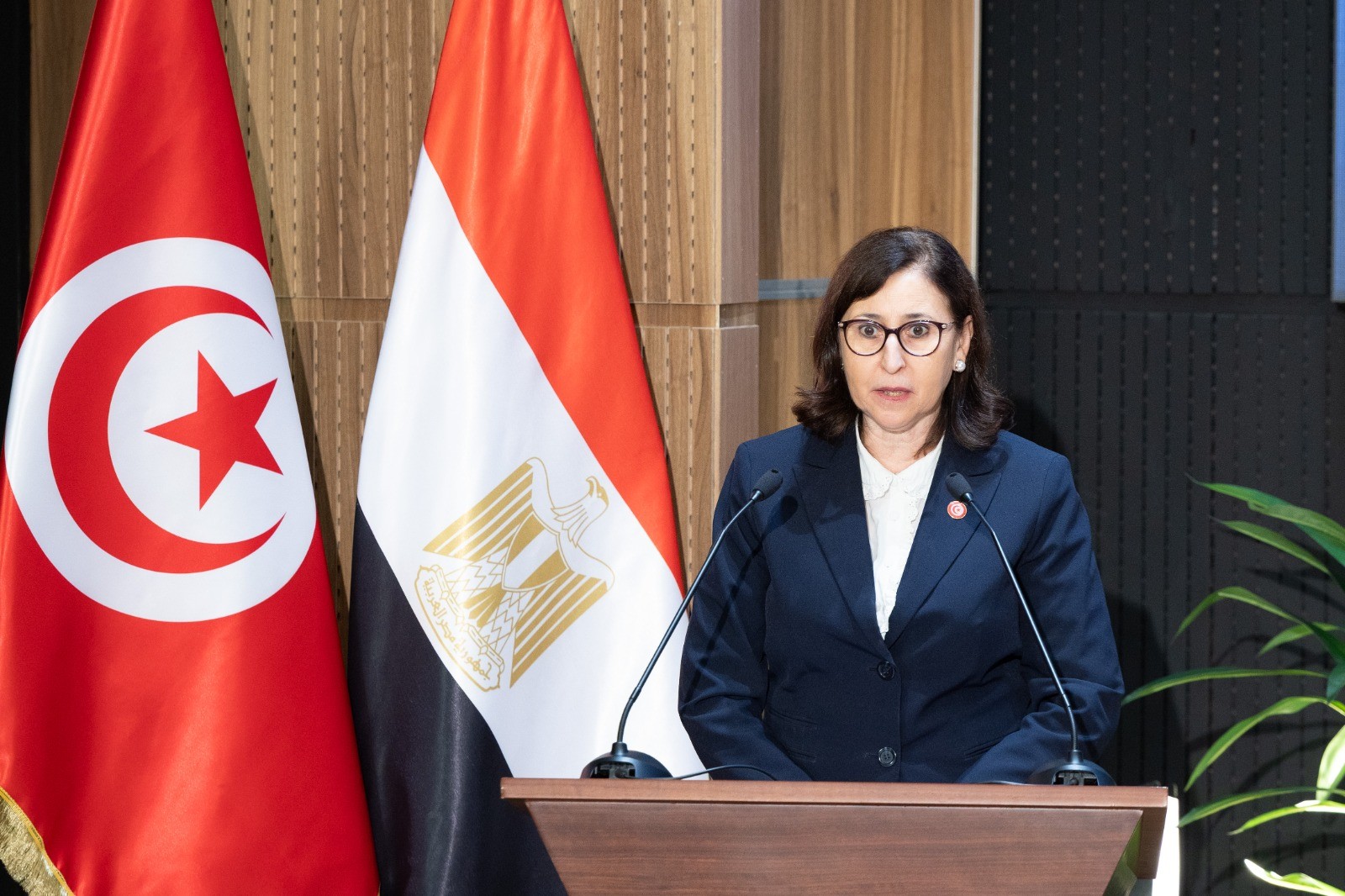 رئيسة الحكومة: نطمح الى أن يصل حجم المبادلات التجارية بين تونس ومصر إلى مليار دولار 