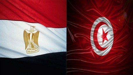 رسمي.. تسهيل إجراءات حصول المواطنين المصريين على تأشيرات دخول إلى تونس