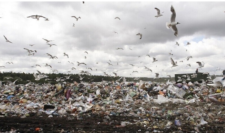 الصين تعاني نقصا في القمامة..!؟