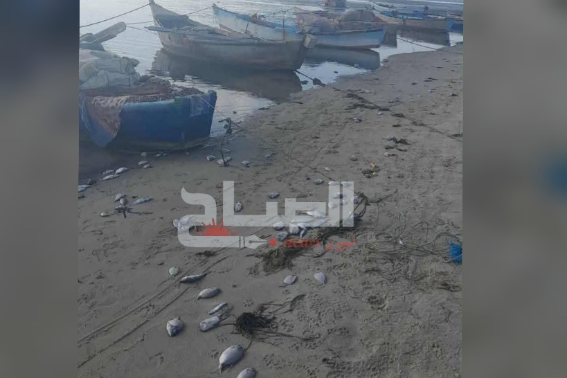 سليمان.. توقف البحارة عن صيد الأسماك بسبب تلوث مياه البحر 