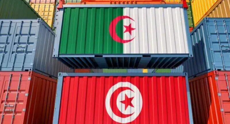خلال الأشهر الثمانية الأولى من سنة 2025..     تطور المبادلات التجارية البينية التونسية الجزائرية بنسبة 18 %