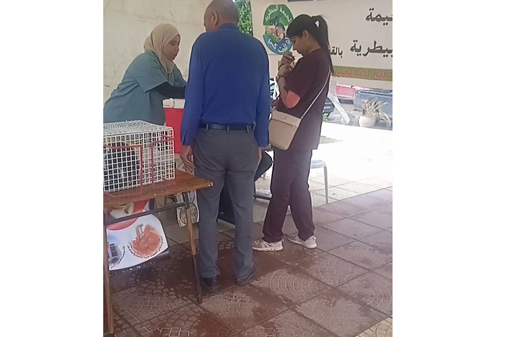 القصرين: تلقيح أكثر من 19  ألف من القطط والكلاب منذ بداية السنة 