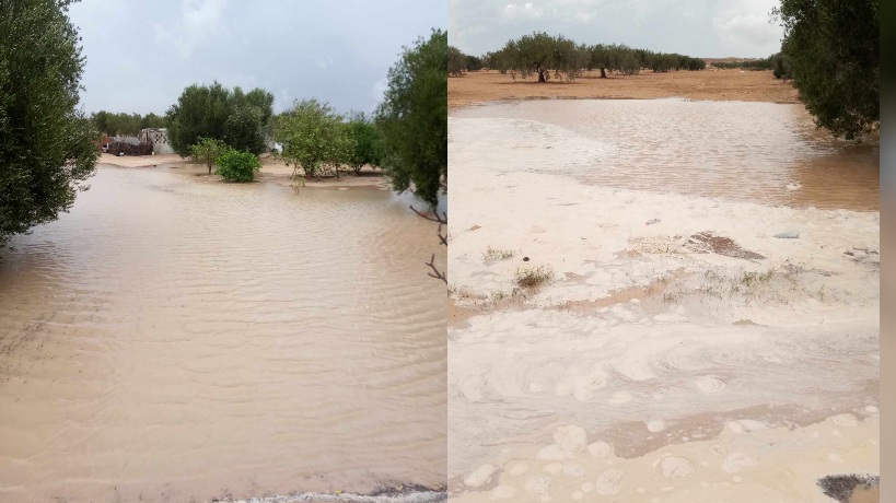 جرجيس.. استبشار بنزول كميات متفاوتة من الغيث النافع