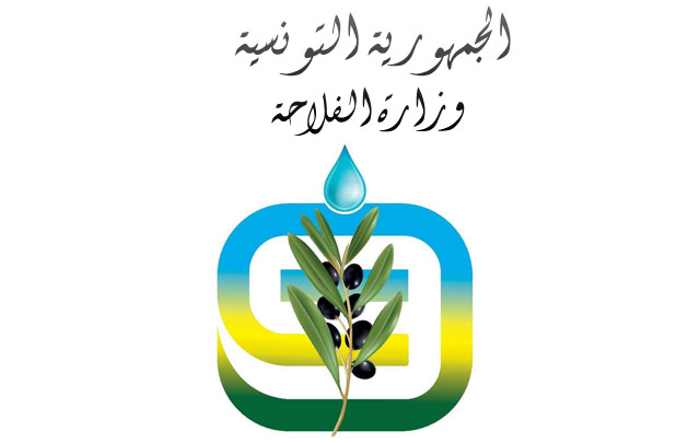 رئيس ديوان وزير الفلاحة: وفرنا  البذور الممتازة بضعف كميات السنة الفارطة  