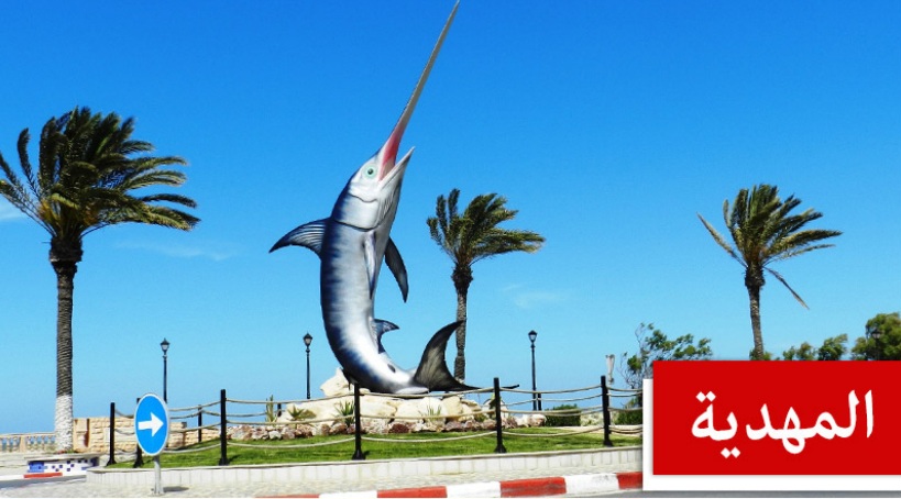  رفض عريضة سحب الوكالة من عضو المجلس المحلي بشربان ولاية المهدية.. تفاصيل التصويت