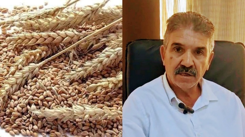  رئيس اتحاد الفلاحة بالقيروان لـ"الصباح نيوز" : " ضرورة توفير الأسمدة قبل البذر لإنجاح موسم الحبوب"