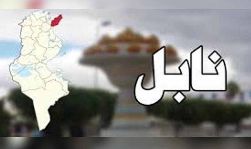 نابل.. جلسة عمل بمقر الولاية حول متابعة الوضع البيئي بمنطقة صاحب الجبل من معتمدية الهوارية