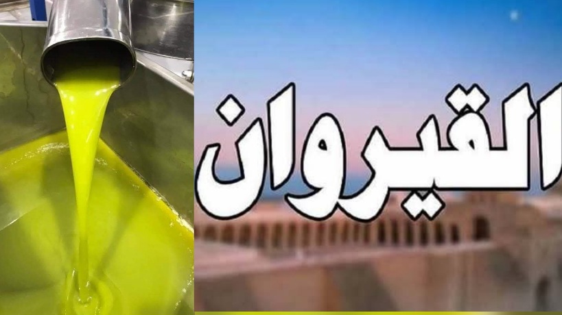 القيروان.. هذا موعد انطلاق موسم جني الزيتون
