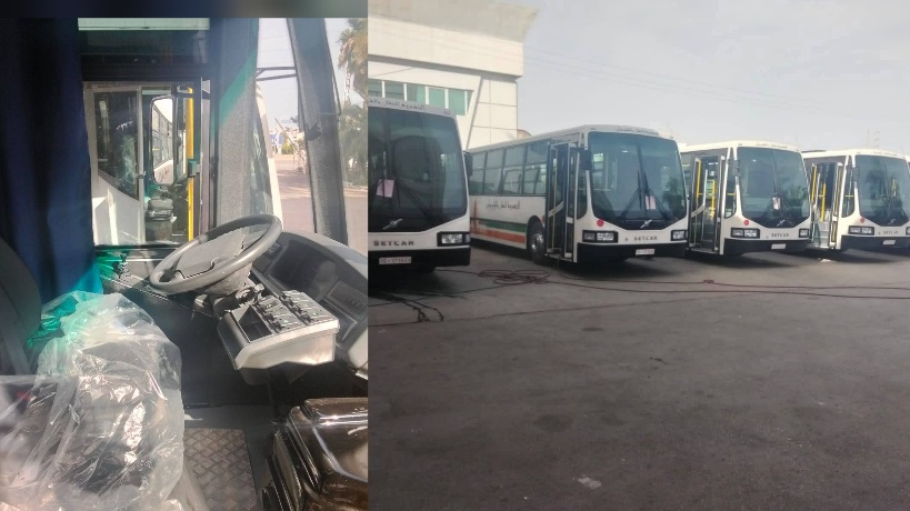  القيروان..الشركة الجهوية للنقل تتسلم 5 حافلات جديدة لتحسين خدمات النقل العمومي
