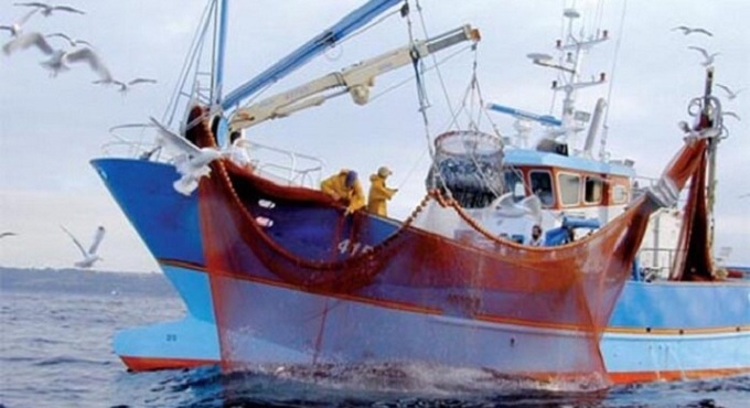 قيمتها بلغت571 مليون دينار إلى موفى سبتمبر 2025..   صادرات منتوجات الصيد البحري تصل إلى 23.5 ألف طن