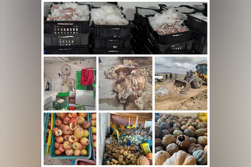  بعدد من الولايات.. حجز أكثر من 29 طناً من المواد الغذائية وحوالي 4 آلاف لتر من المياه غير الصالحة للاستهلاك
