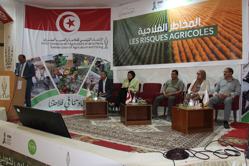 🔴ندوة وطنية عن المخاطر في قطاع الزياتين وكيفية التحكم فيها