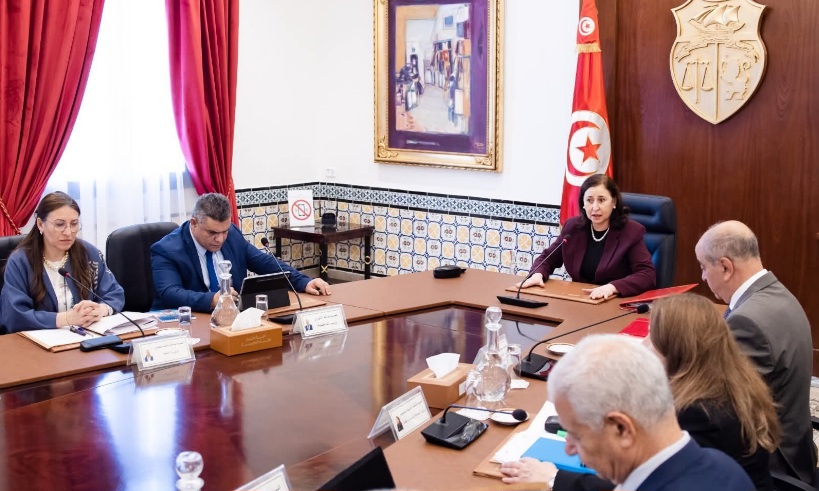 في مجلس وزاري مضيّق.. إقرار إجراءات لإنجاح موسم زيت الزيتون 2025-2026 