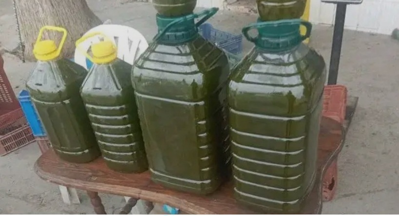 طبربة .. تراجع أسعار زيت الزيتون "الزياتي"