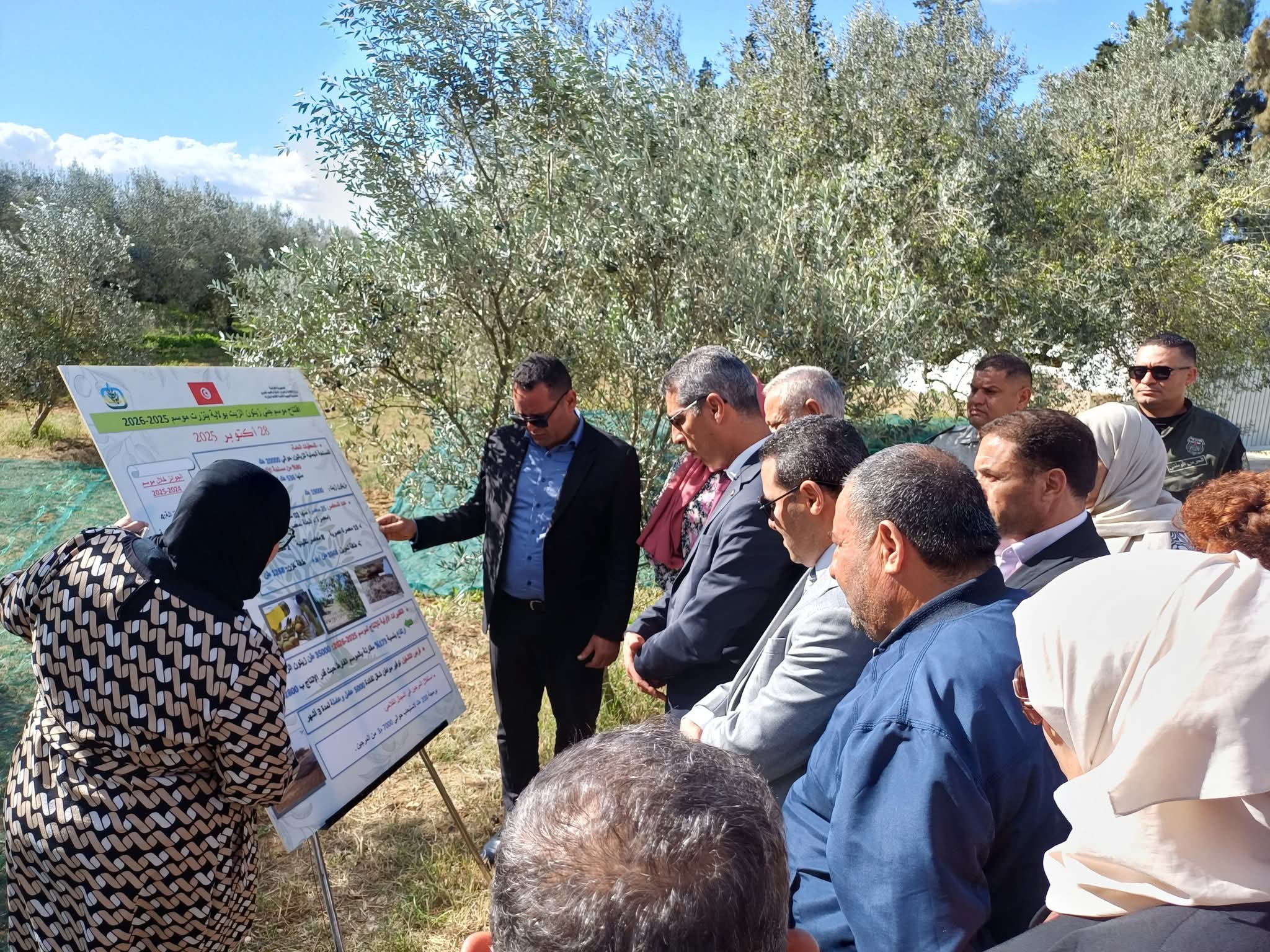 بنزرت.. انطلاق موسم جني الزيتون  