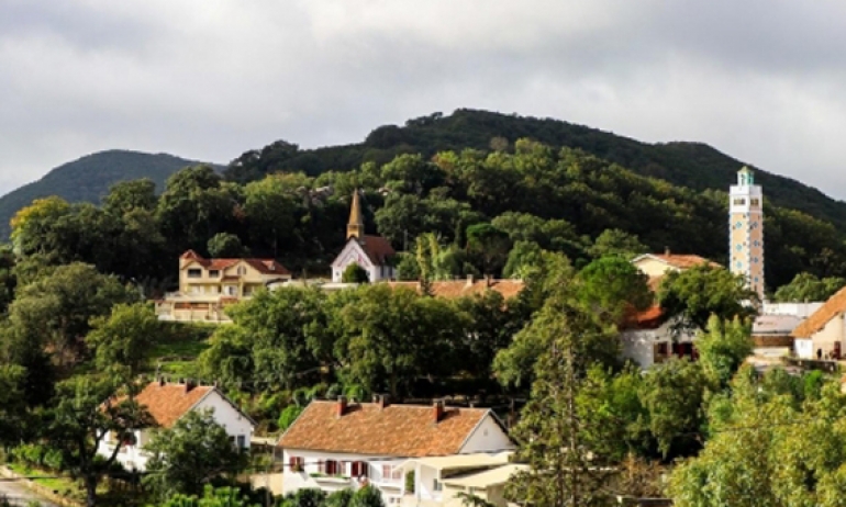 بعد الإعلان عن صدور 4 كراسات شروط قريبا..  «الإقامات البديلة» تشغّل أكثر من 1800 ناشط.. وتوجه نحو الترفيع في عدد الأسرة والغرف بدور الضيافة