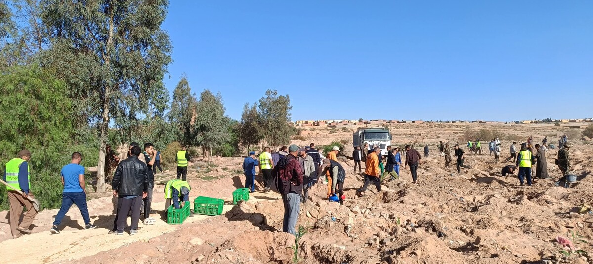 انطلقت منذ 7 سنوات وهدفها بلوغ مليونين..   حملة التشجير تتواصل وبرمجة غراسة 500 ألف شجرة جديدة