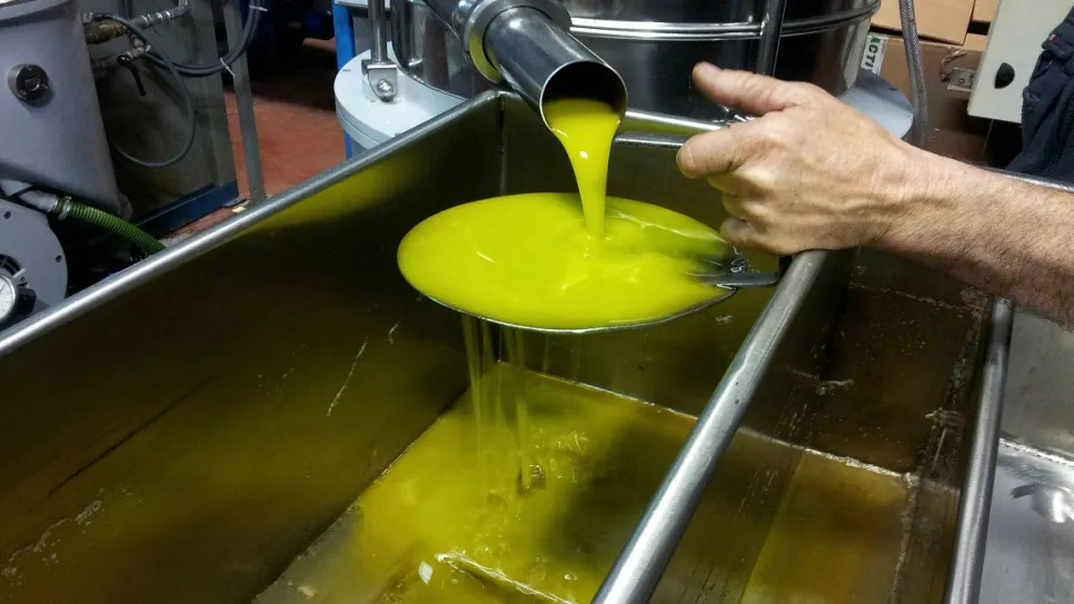 مجلس المنافسة يقرّر إيقاف العمل بالتسعيرة المرجعية لرحي الزيتون