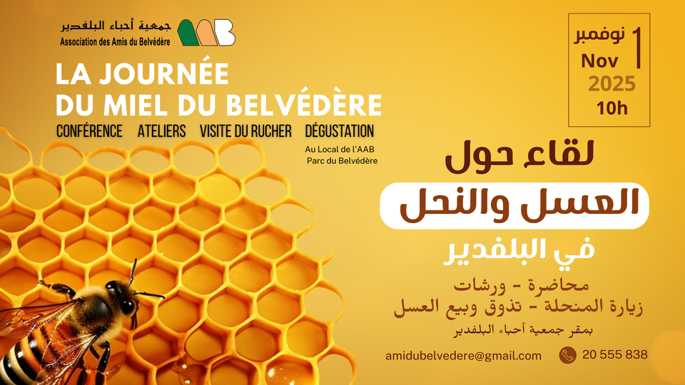 🔴جمعية أحبّاء البلفدير تنظّم لقاء حول العسل والنحل
