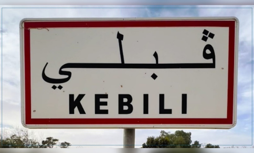 قبلي.. فلاحو جمنة يستأنفون جني التمور بعد الاتفاق بشأن أسعار دقلة النور