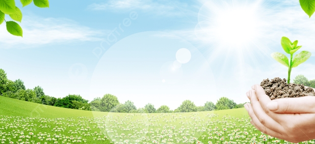 عيد الشجرة بالقيروان.. تخصيص 518445 شتلة لموسم التشجير