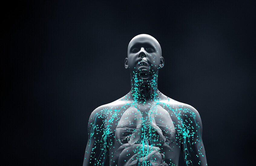  اكتشاف سر تحول الخلايا المناعية من مدافع إلى مهاجم شرس للجسم