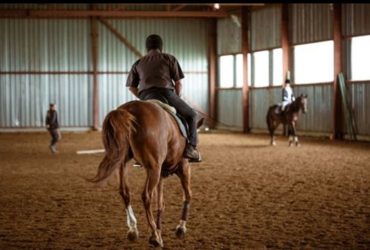 بعد تسجيل 5 إصابات بفيروس الالتهاب الرئوي الخيلي..     تمديد إجراءات الحجر الصحي وتحذير من العدوى