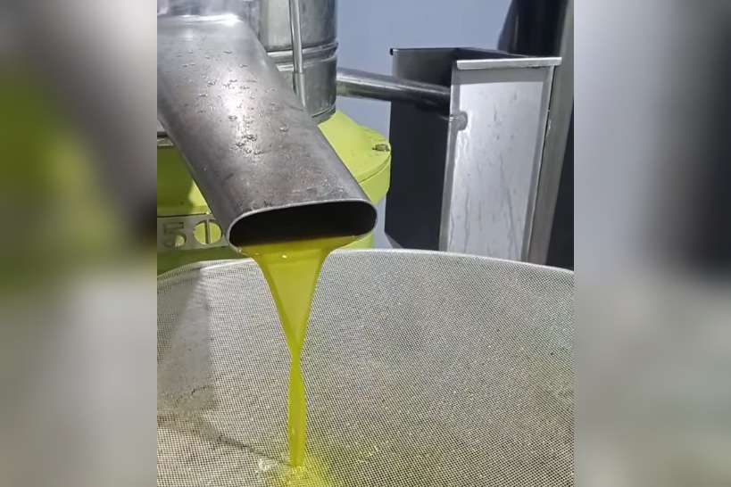 القلعة الكبرى.. أصحاب عدد من المعاصر يبادرون بتخفيض سعر رحي الزيتون 