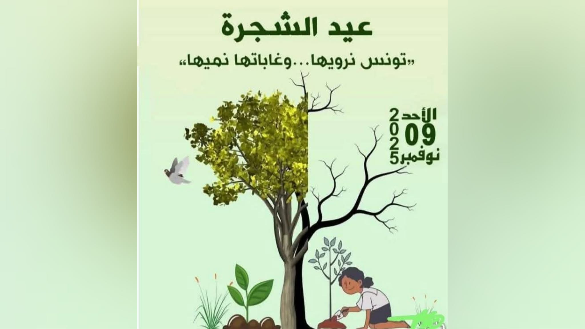 تحت شعار "تونسنا نرويها وغابتنا نمّيها".. تونس تحتفل بالعيد الوطني للشجرة 
