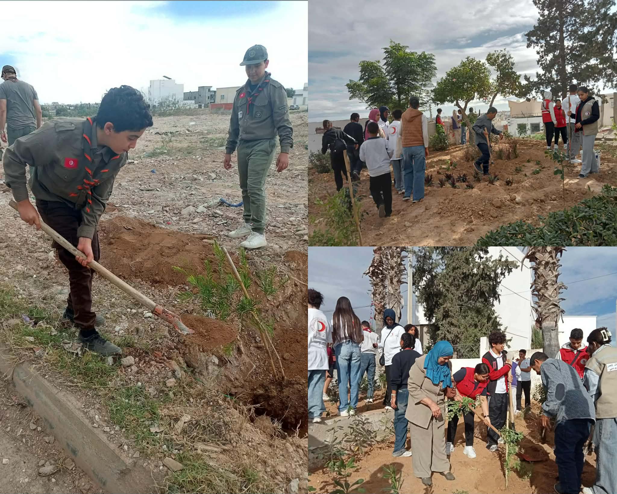   سوسة.. بلديّات وجمعيّات ومنظّمات تحتفل بعيد الشّجرة