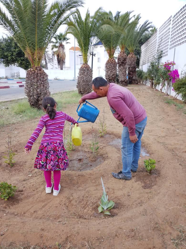   بمشاركة السيّاح.. مرسى القنطاوي يحتفل بعيد الشجرة