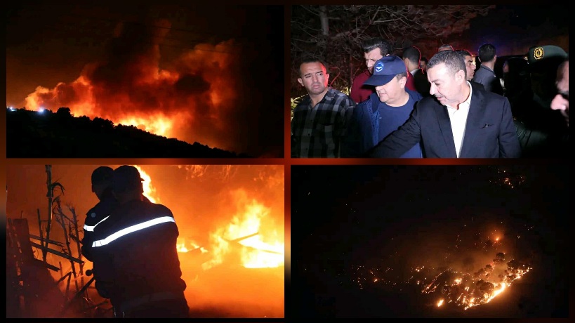 حرائق بغابات الجزائر.. آخر المستجدات