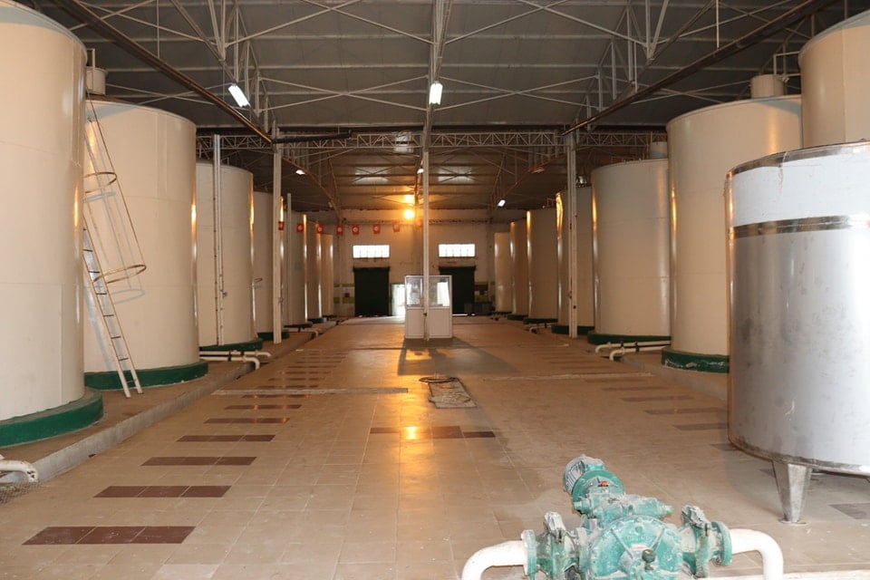 القيروان.. الديوان الوطني للزيت يطلق موسم شراء زيت الزيتون لصغار الفلاحين