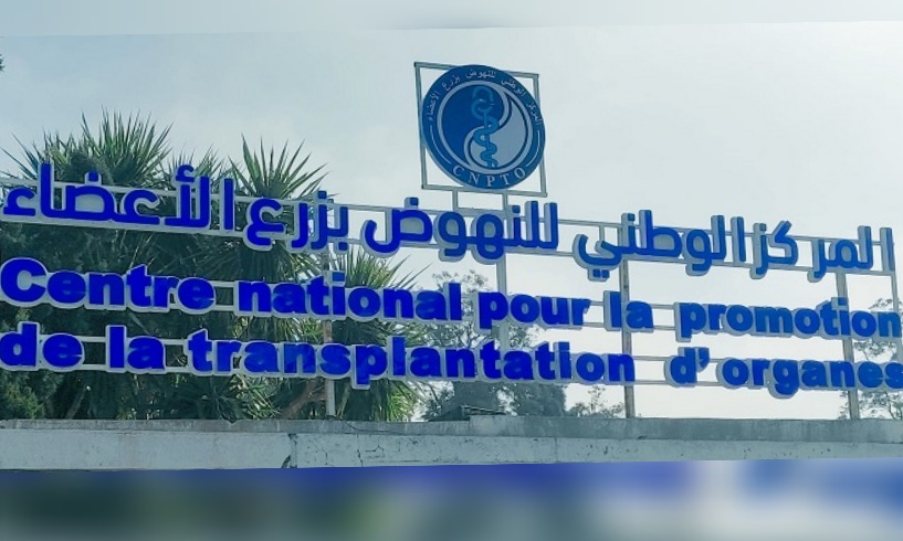 نتيجة قبول 4 عائلات التبرع من ذويها المتوفين .. إجراء 15 عملية زرع أعضاء في أقل من شهر واحد 