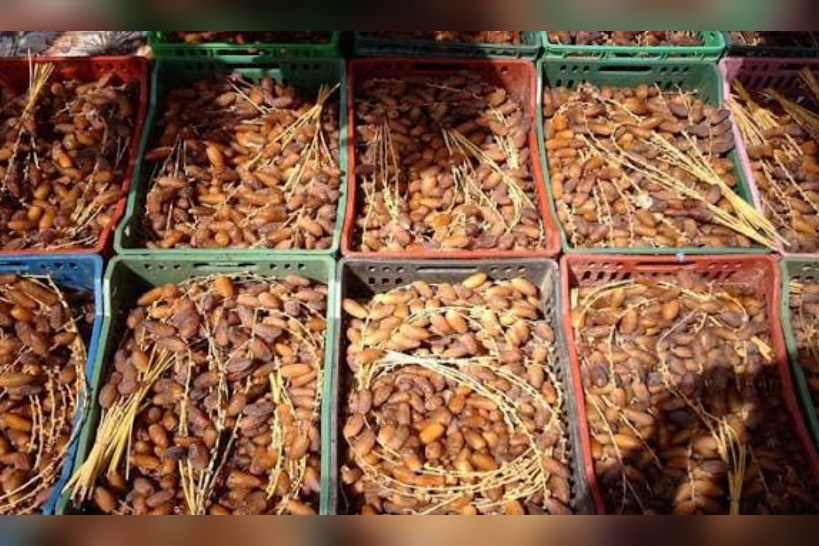 إلى غاية 7 ديسمبر .. تركيز خيمة بشارع الحبيب بورقيبة وسط العاصمة لترويج التمور بأسعار تفاضلية 