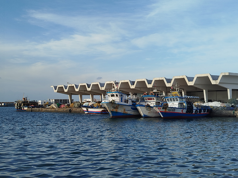 نابل.. تراجع الثروة السمكية بنسبة 60%