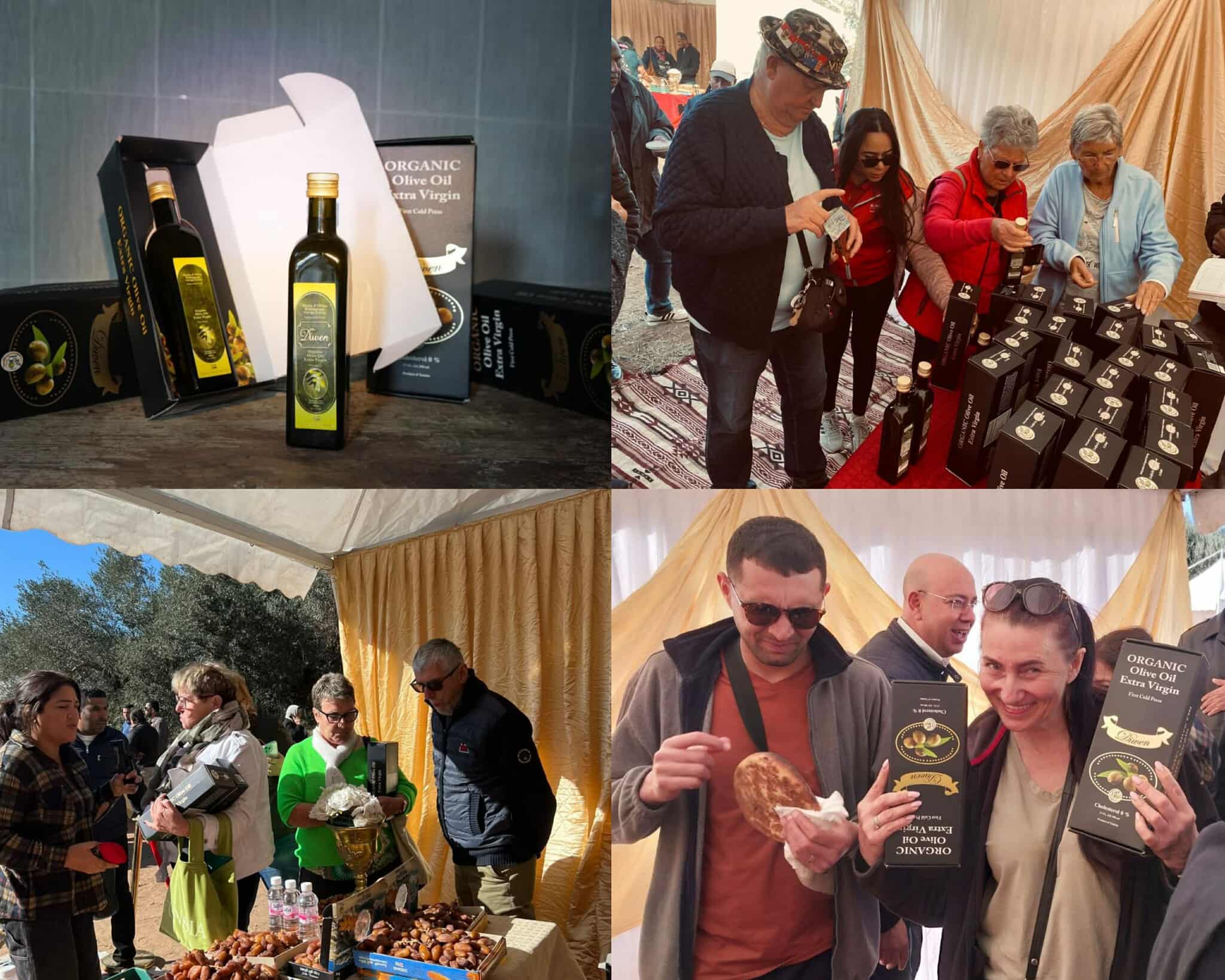 النفيضة.. يوم ترويجي لزيت الزيتون بحضور سياح من عدة جنسيات