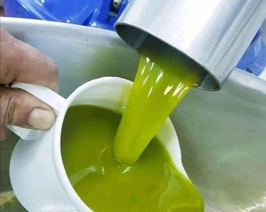 وزير الفلاحة: تكليف الديوان الوطني للزيت بإعداد مخزون من زيت الزيتون باعتماد أسعار مشجعة