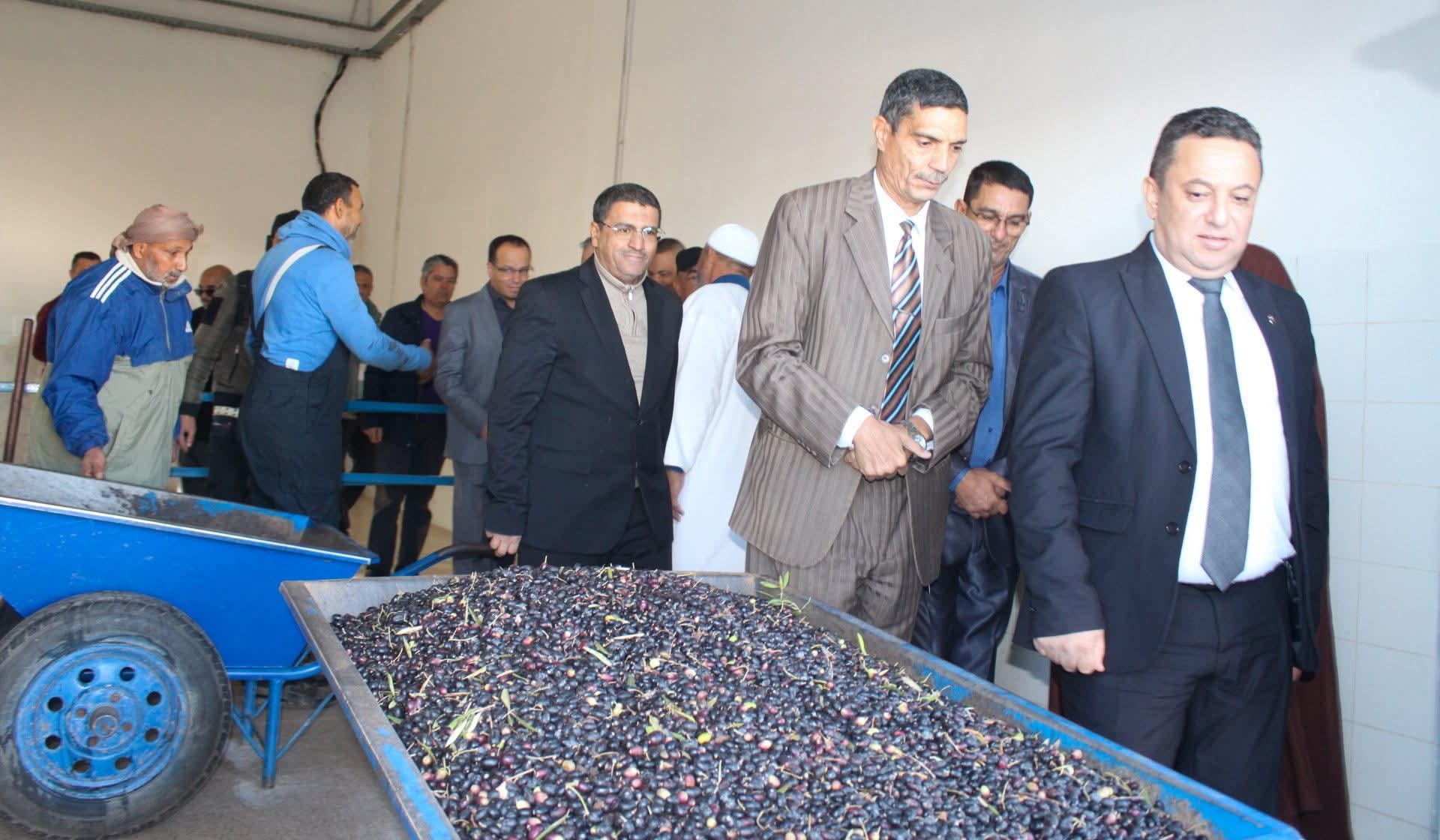 دائرة الإنتاج النباتي بمدنين: سعر زيت الزيتون يتراوح بين 12 و14 ديناراً للتر