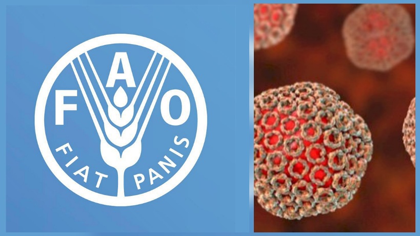 تونس تحتضن ورشة وطنية للإنذار المبكر ضد حمى الوادي المتصدع