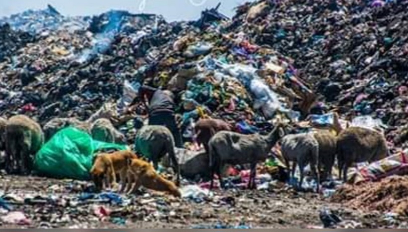 قفصة.. الوالي يقرر غلق المصب العشوائي طريق السطح