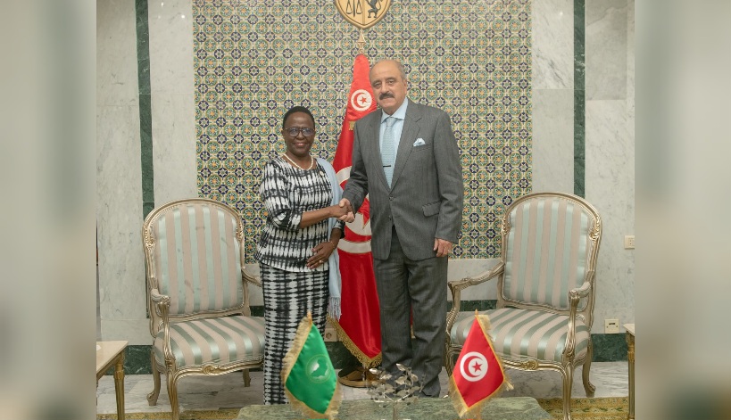 وزير الخارجية يستقبل المبعوثة الخاصة للاتحاد الإفريقي للمرأة والأمن والسلم