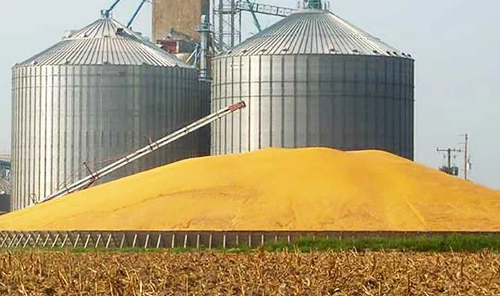 رئيس الاتحاد الجهوي للفلاحة بالقيروان لـ"الصباح نيوز": تقدم موسم البذر يبلغ 80% ومؤشرات أولية لموسم حبوب واعد