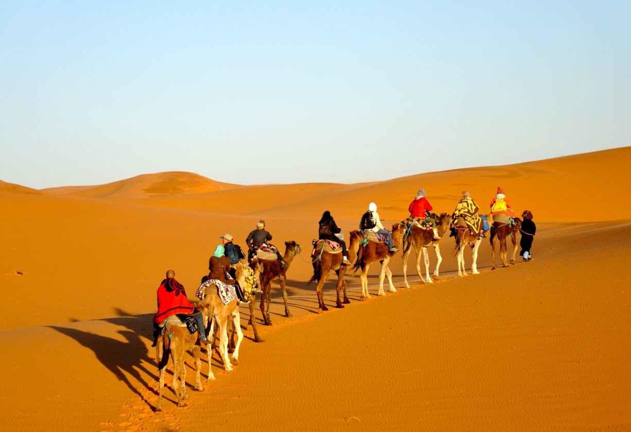 إلى حدود نوفمبر: توافد 160 ألف سائح على الوحدات السياحية بقبلي