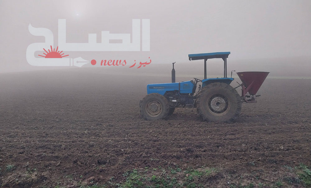 بنزرت.. ضباب كثيف يخفض الرؤية في العديد من المناطق