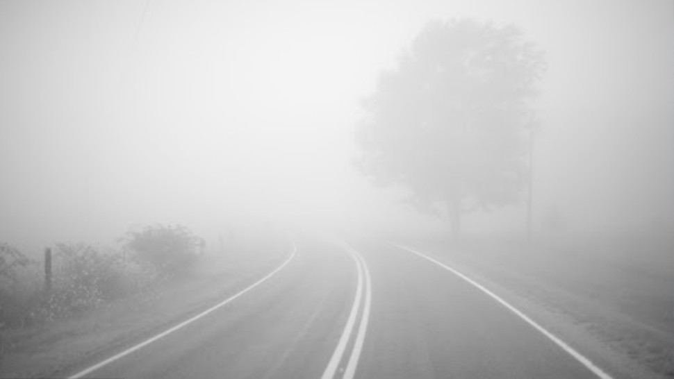 ضباب محليا كثيف الليلة وصباح الغد يتسبب في انخفاض مدى الرؤية الأفقية