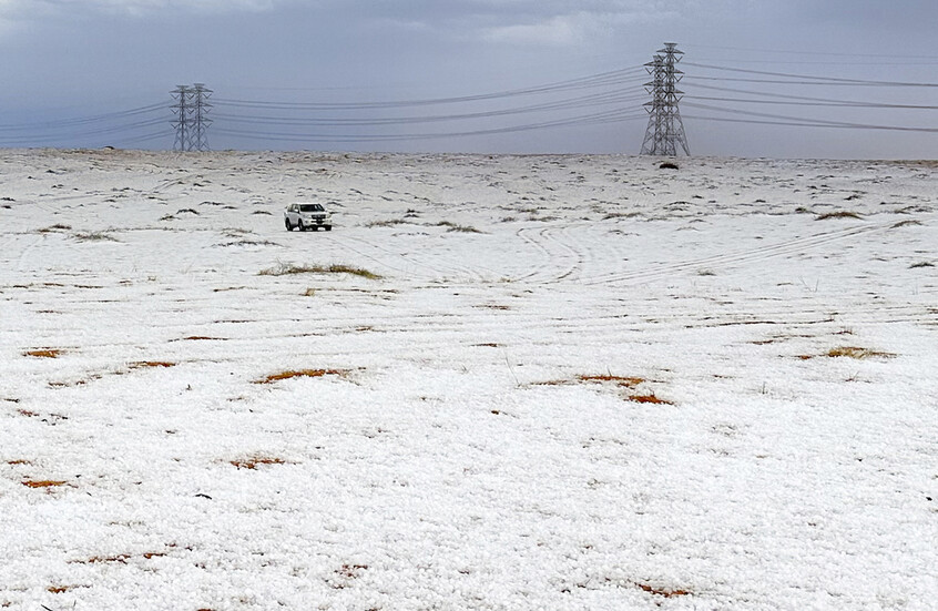 السعودية.. تعليق الدراسة حضوريا في الرياض بسبب سوء الطقس وتساقط الثلوج